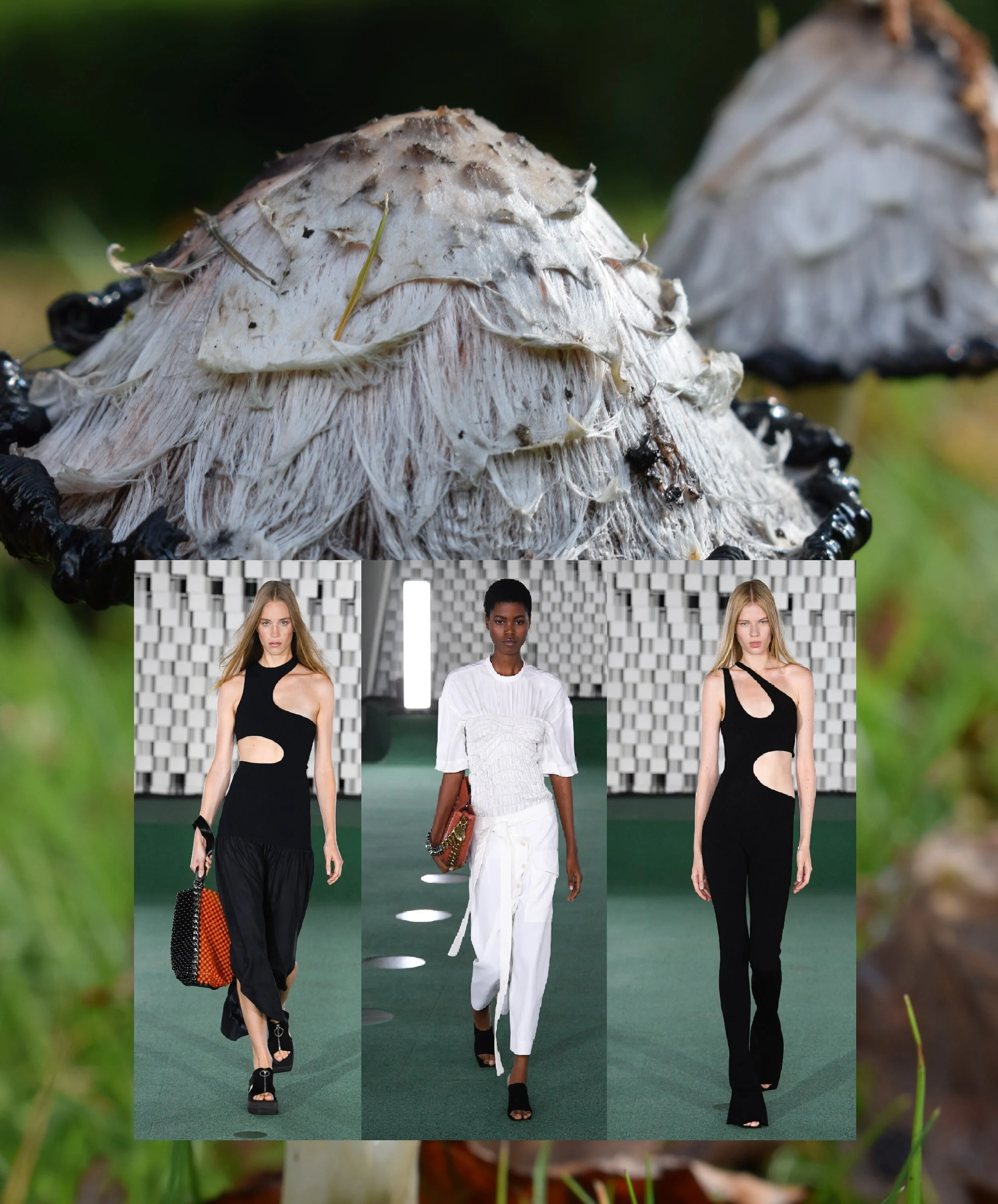 Stella McCartney's Spring 2022 Collection Hugs Shroom Power
